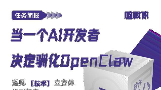 当一个AI开发者决定驯化OpenClaw