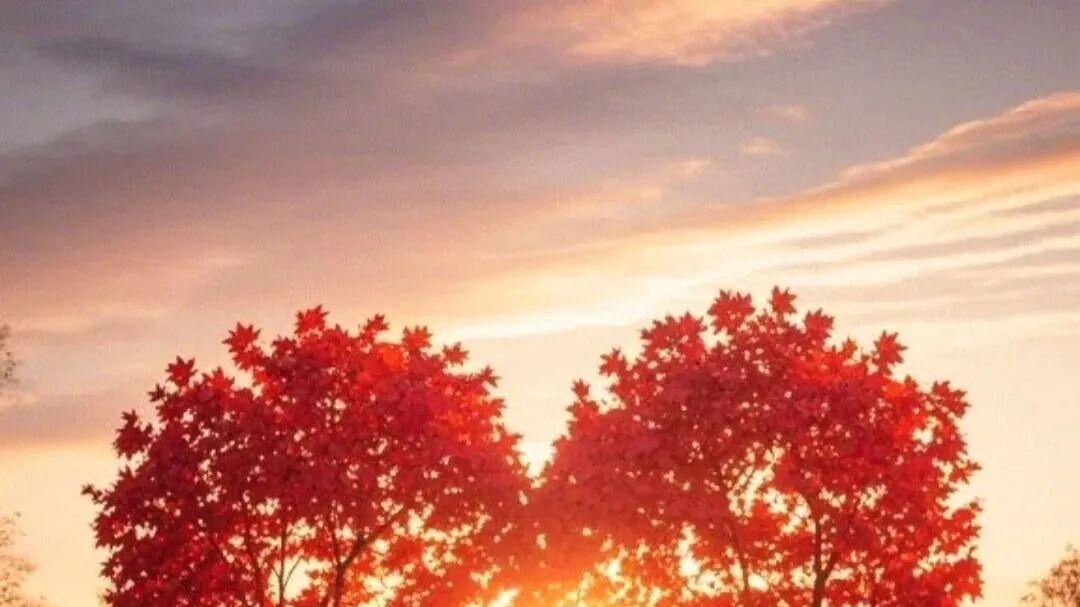 陪读房里的欢声笑语及能量满满