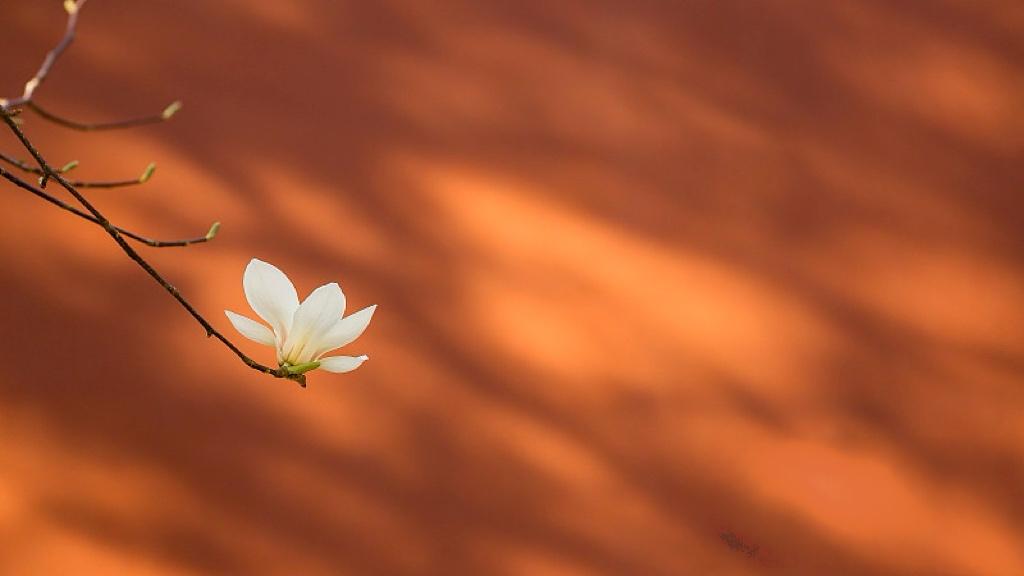 中国科创，不缺钱缺“点火器”