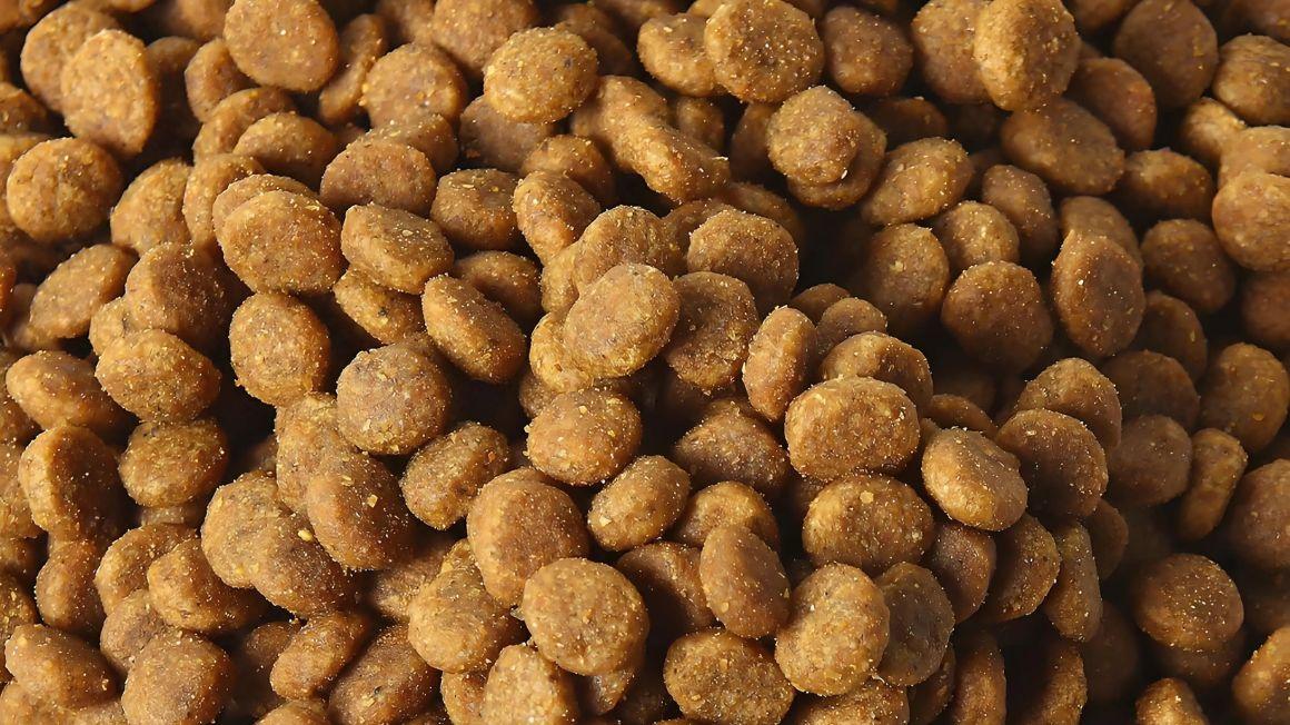 猫粮一般多少钱？2026真实测评希喂、顽皮、玫斯猫粮好不好