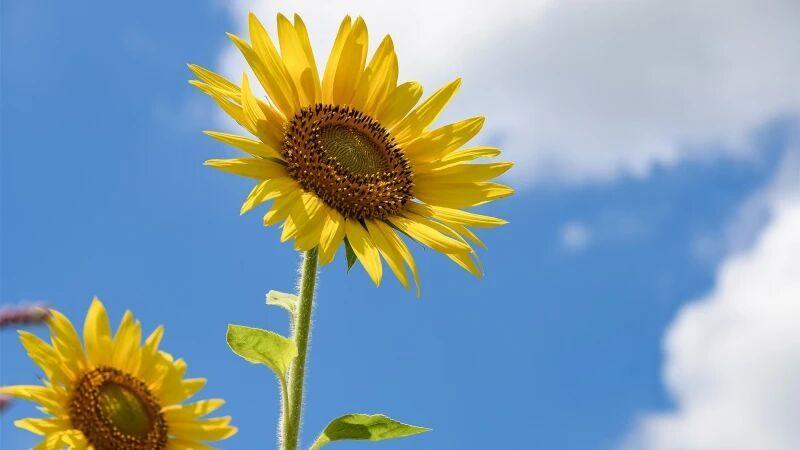 当一个人这样对你时，说明他并不是真心与你交往，别当真