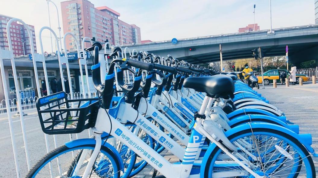 哈啰单车，为什么这么“野”？