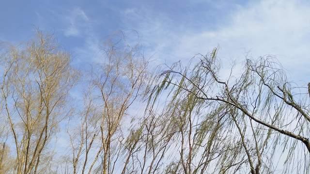 家长别再逼孩子和自己了，尊重各自的命运，顺其自然也接纳无常