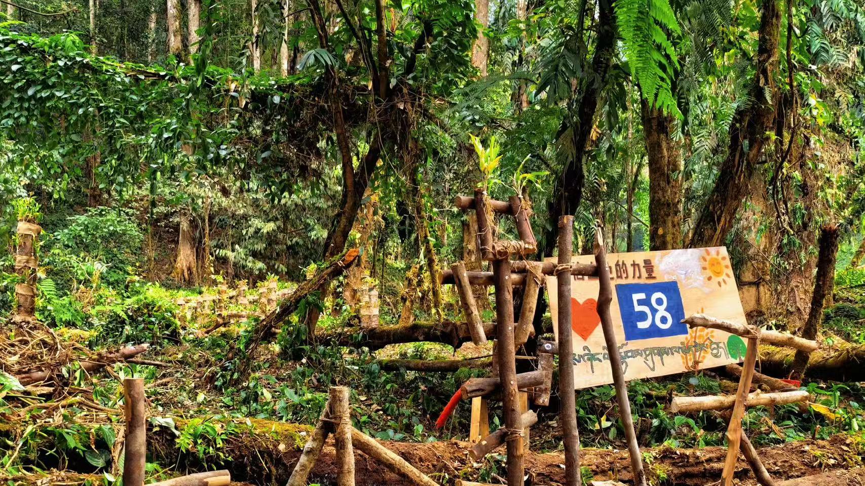 十个勤天西藏“放大招”，墨脱推介会嗨翻全场