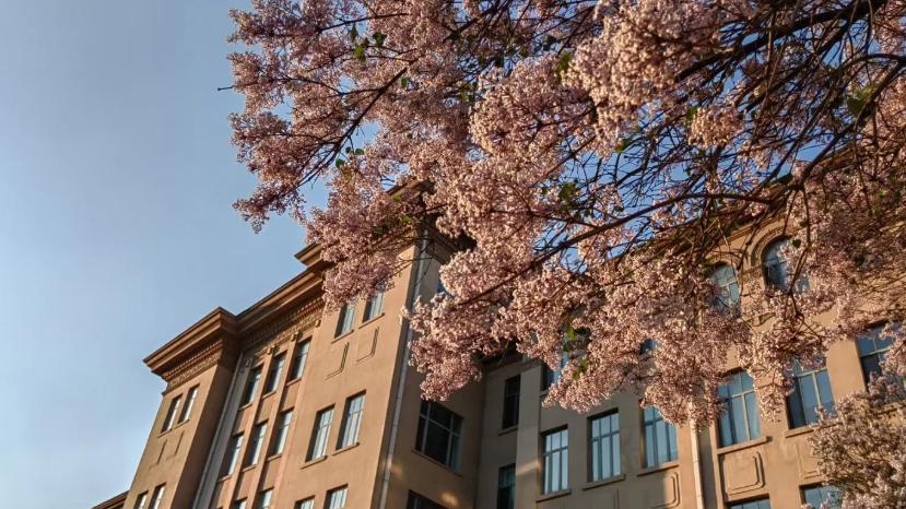 高校排行榜看看就行，哈工大被曝赞助QS峰会，复旦被曝会见QS总裁