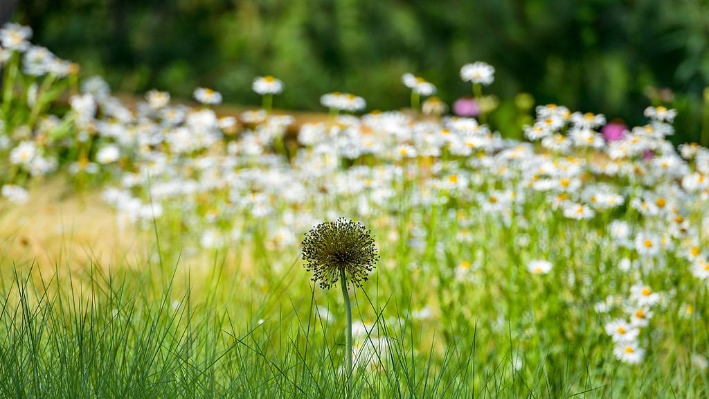 老娘这次是真的过不下去了