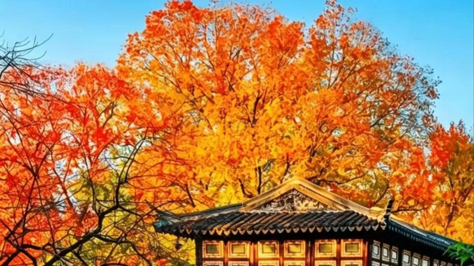 酉戌相穿身残害