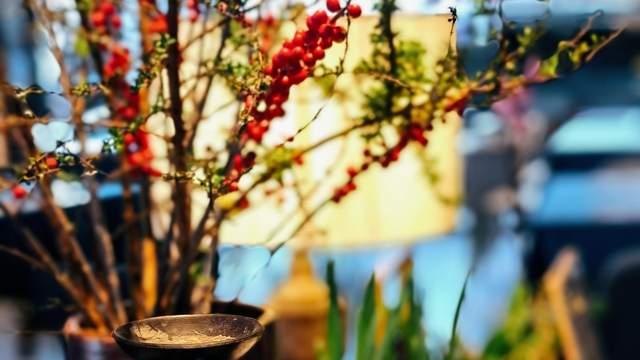 临与观：唯有实践与理论共同提升，才能行稳致远实现成功