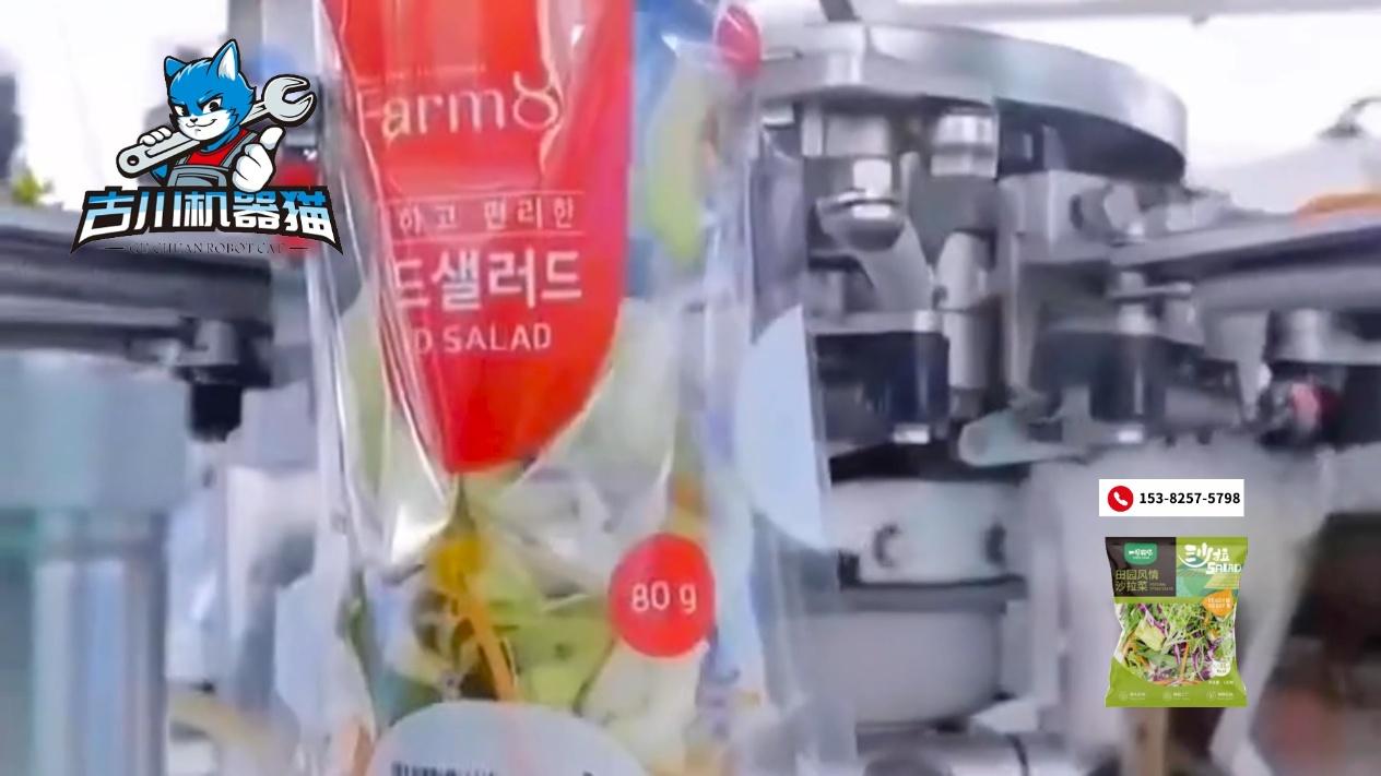 食品工厂常用的蔬菜沙拉给袋式包装机解决方案