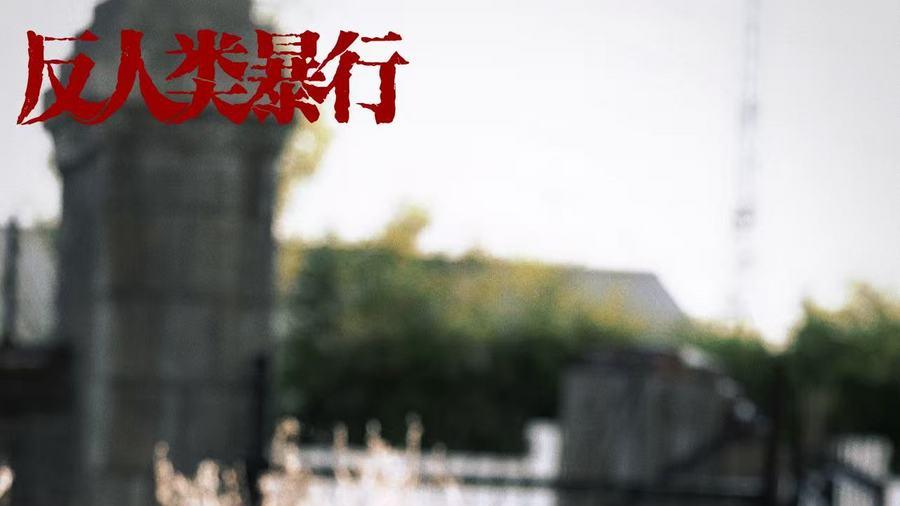 豆瓣8.7分《反人类暴行》收官 韩静饰徐桂芬诠释女性力量