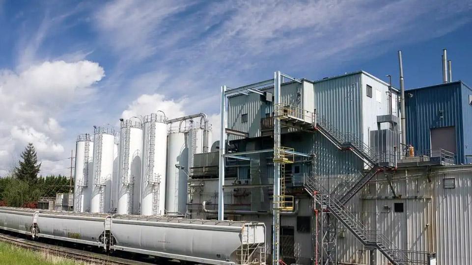 年年挤破头的985王牌专业，比不上这4个被严重低估的冷门专业