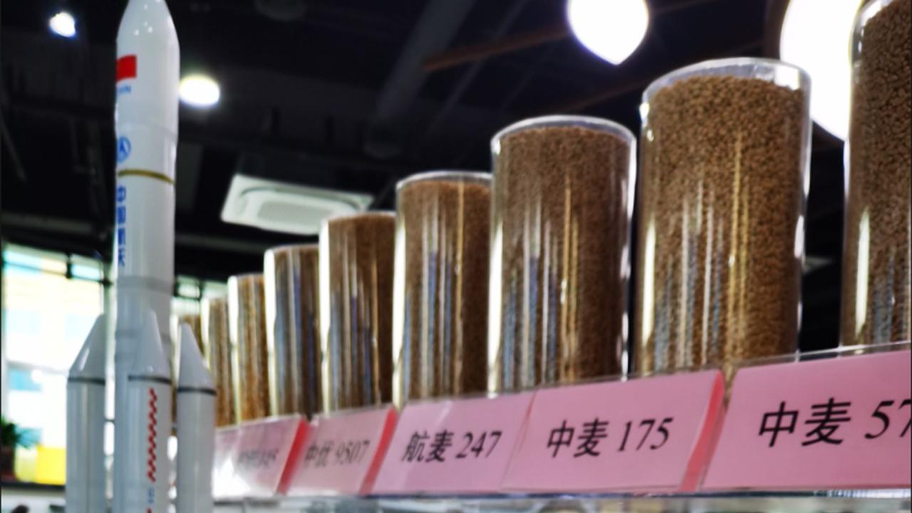 黎家盈要在太空搞水稻二次播种！神舟十四号刘洋不是种过水稻吗？陈冬：在月球甚至在火星，实现禾下乘凉梦