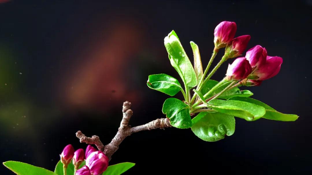 随笔：旧疾当愈，人当长安