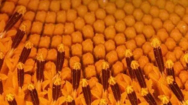 一个人的“公开区”越大，就越幸福！