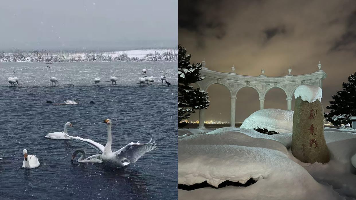 威海冬季这么好玩的吗，旅游指南