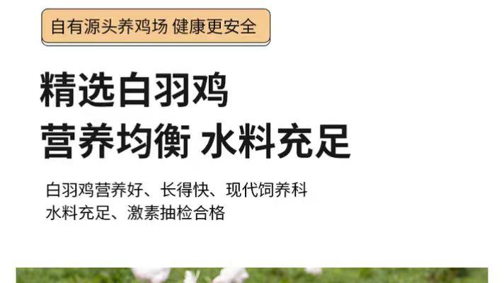 什么猫粮性价比高质量好？2026十大放心猫粮国产