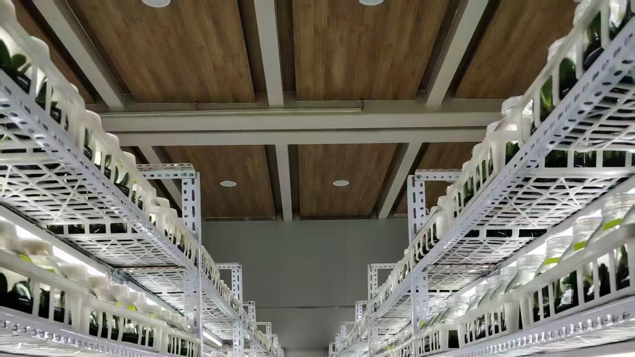 银龄智囊把脉智慧农业    政企同心共育兰花产业