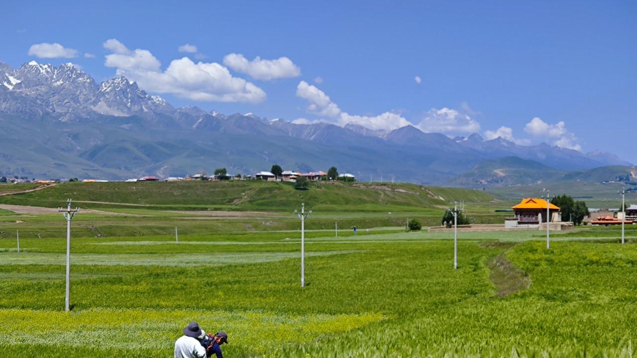 如果一个人不再觉得自己和脚下的土地有关