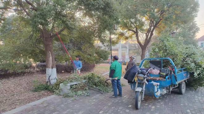苏州市相城区黄桥街道：树枝“瘦身”除隐患 免费上门暖民心