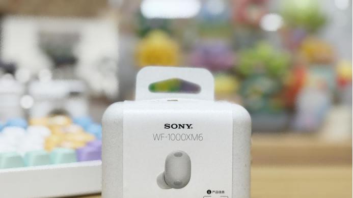 索尼降噪豆 6 WF-1000XM6：戴上就不想摘，体验感拉满