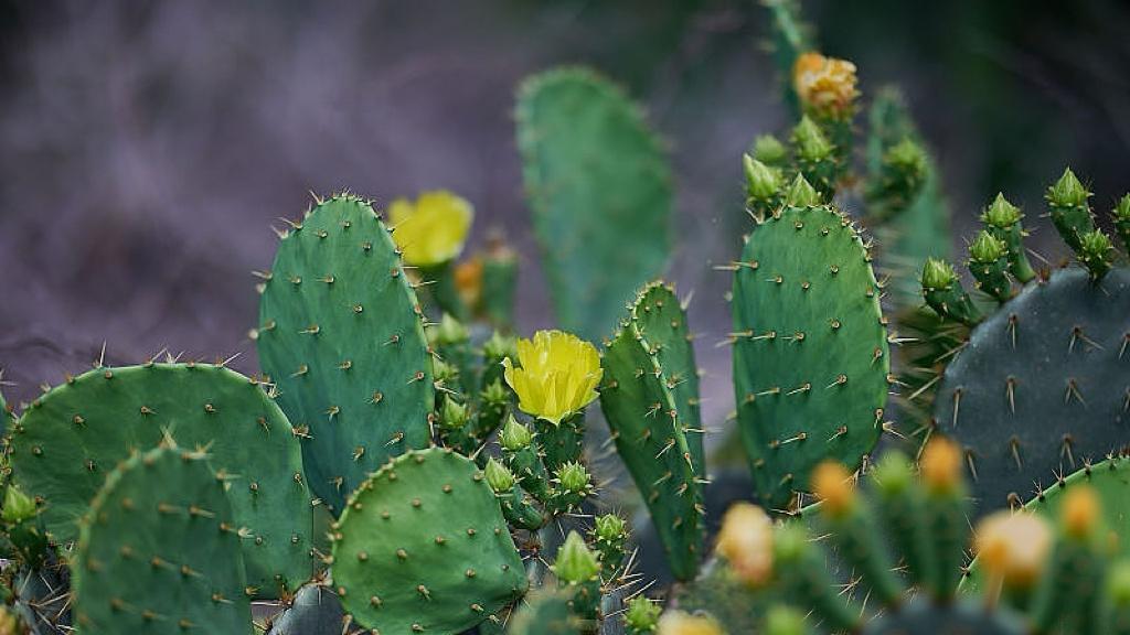 21家银行“入局”，浙商凭什么上桌？