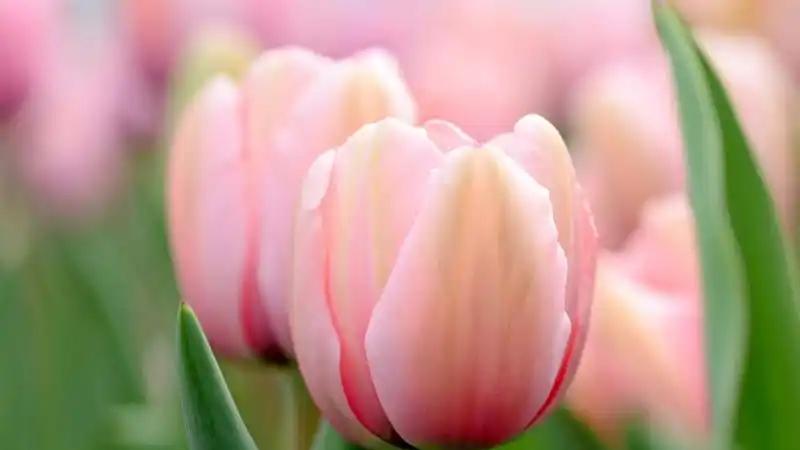 记住，学会反问，不要自证