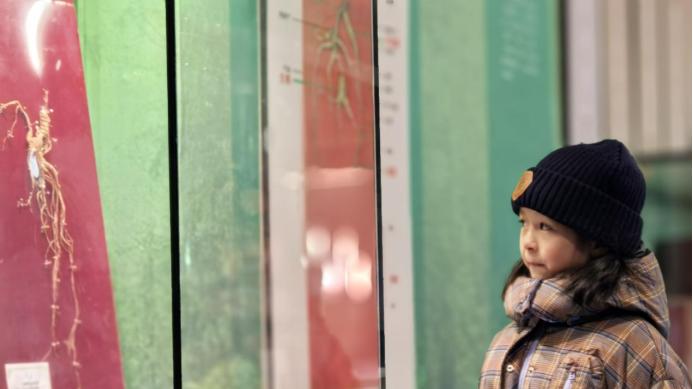 冬日寻参记：一场驶向雪原与时光的暖行