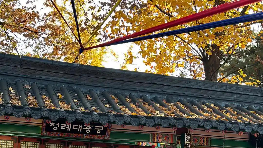 月薪1万在首尔能过成什么样？