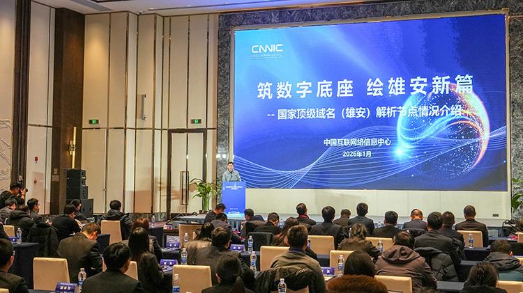 国家顶级域名解析节点（雄安）正式上线