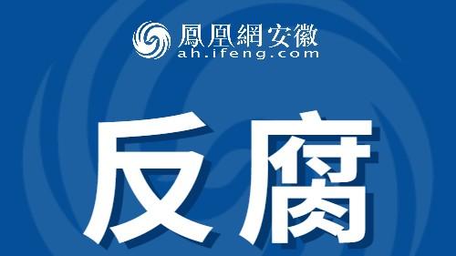 安徽省纪委监委通报：何其俊，被查！