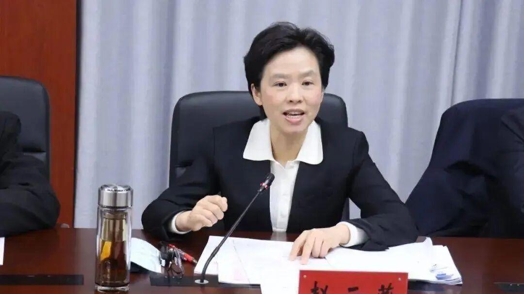 从政坛女将到文化领航人：赵云燕履新江苏省演艺集团董事长的跨界跃迁