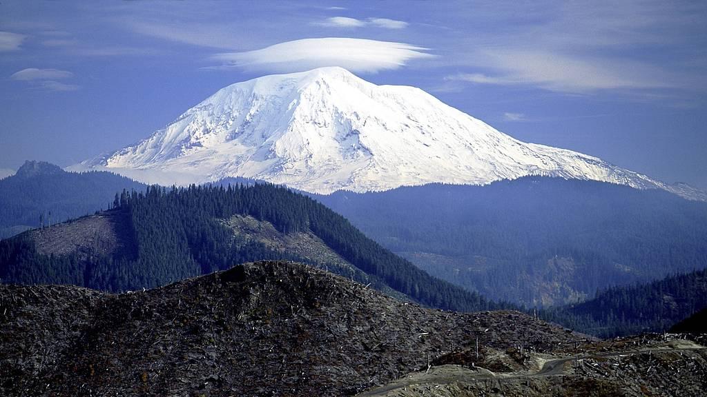 一个人真正的愚蠢：三不