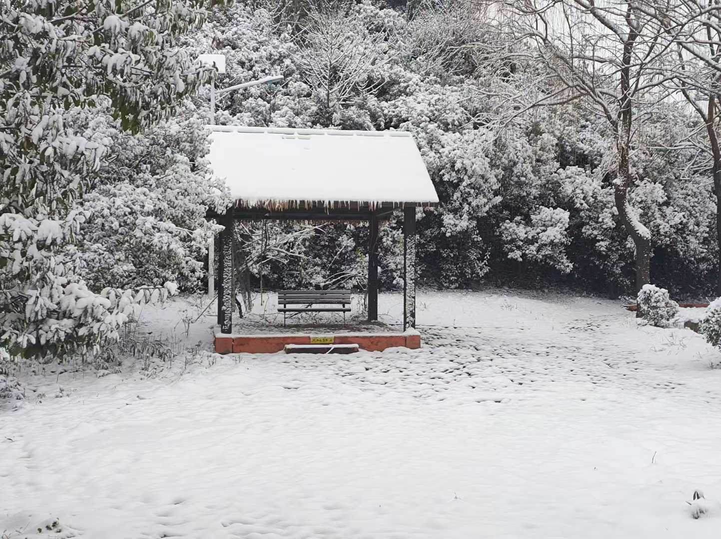 当雪花遇见醋香：在三秋醋博园，开启一个“纯酿”的新年