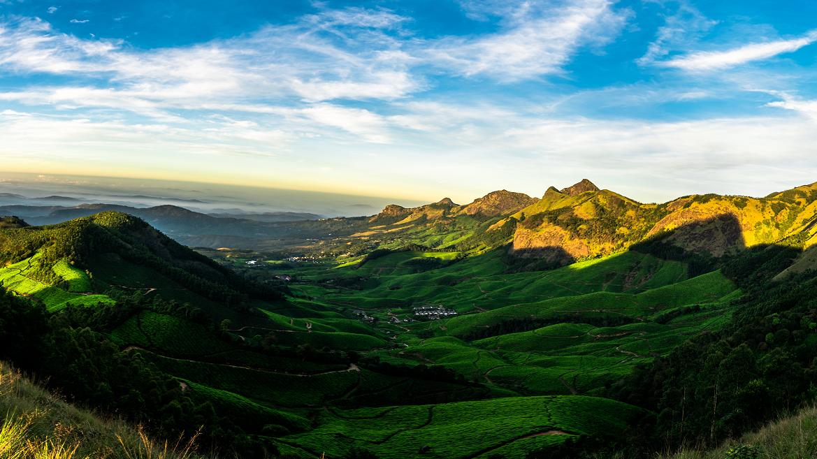 在2025年度生活会上的表态发言材料范文