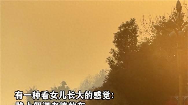 偶遇老婆开车当场被帅到！