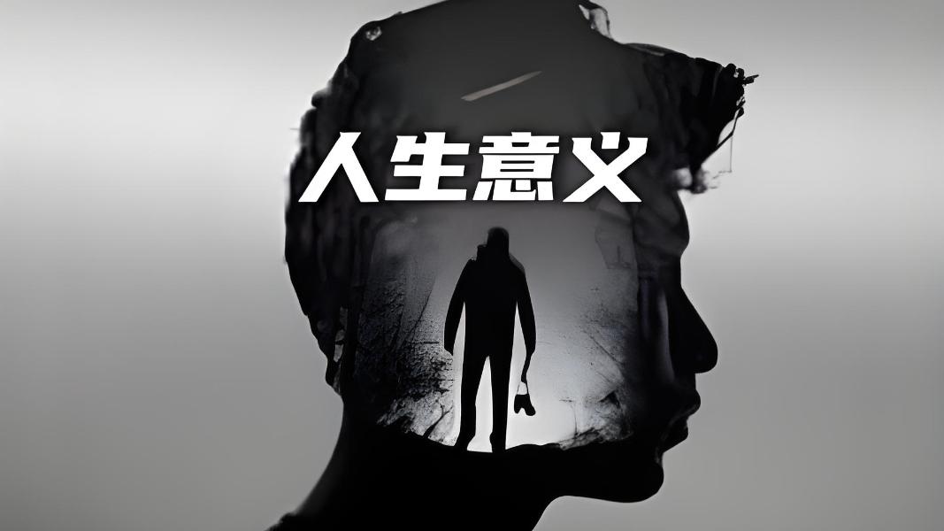 谁说人生没有意义？