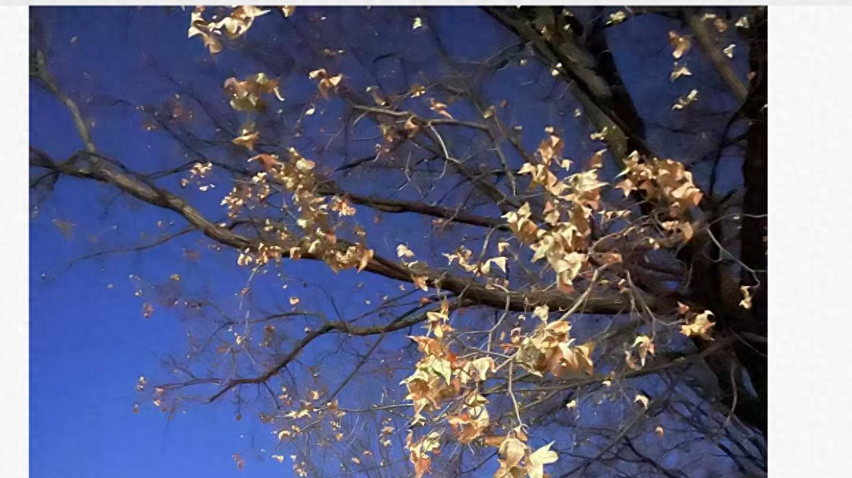 豆浆：密云之行中的一点“感悟”：谢谢分享。