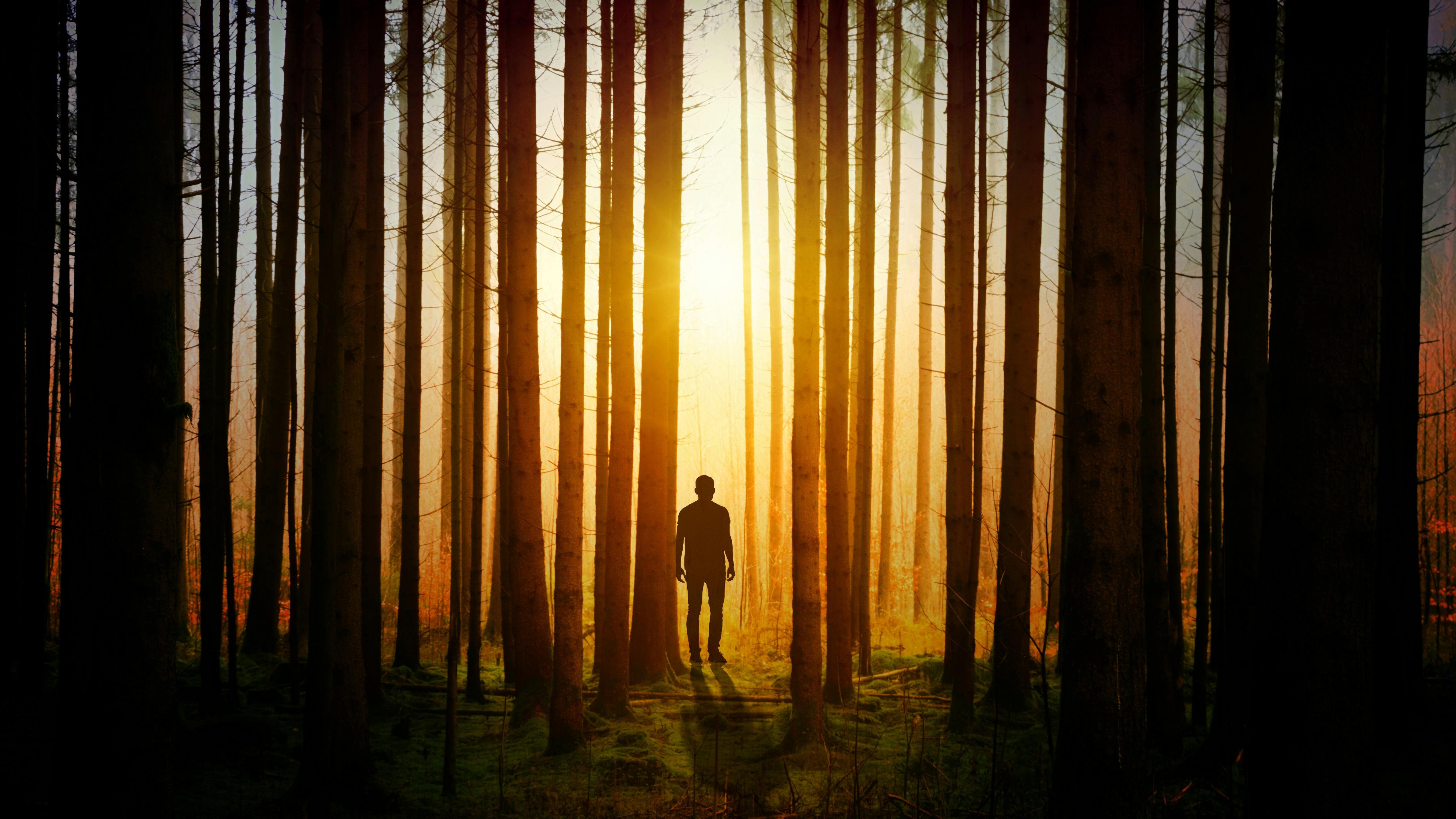 冬季，适合拍摄剪影的季节