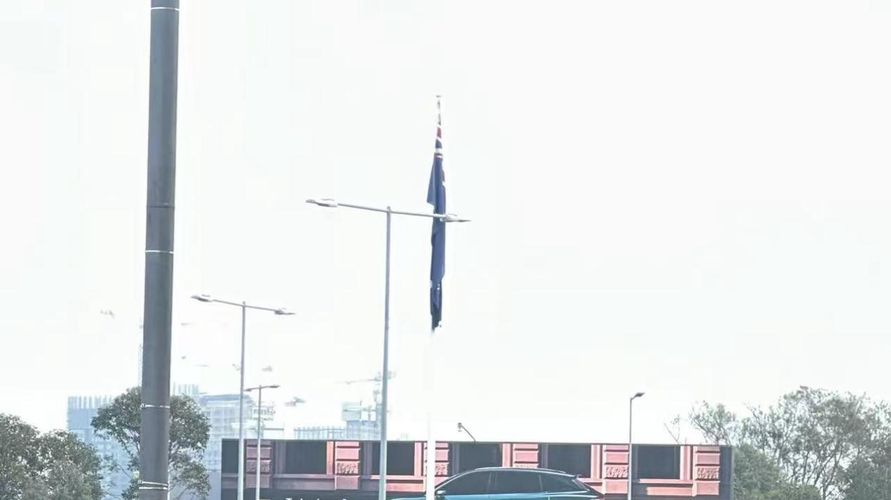 没想到国产新能源在澳洲已经这么有存在感了