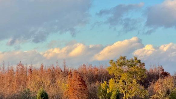 鸥鸣伴书香，山岚映湖光 —— 昆明经典湖山人文线
