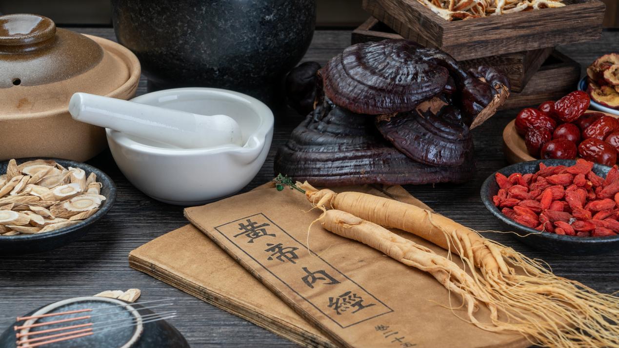 传承之光：记倪海厦先生的中医薪火