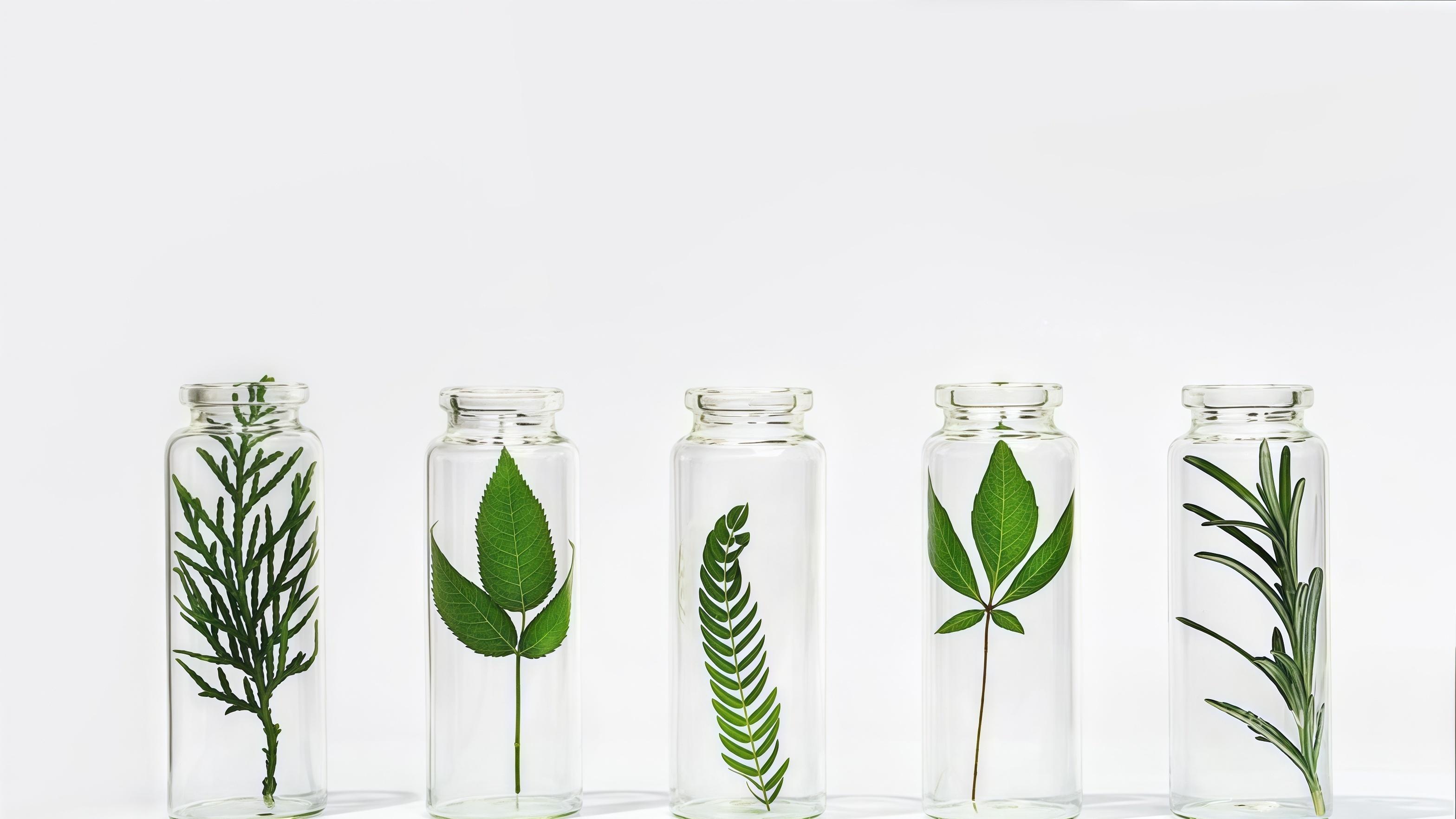 人形机器人不是玩具：商业赛道谁先跑出来？