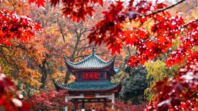 岳麓山秋天的另一种玩法：爱晚亭后隐藏的溪谷小径