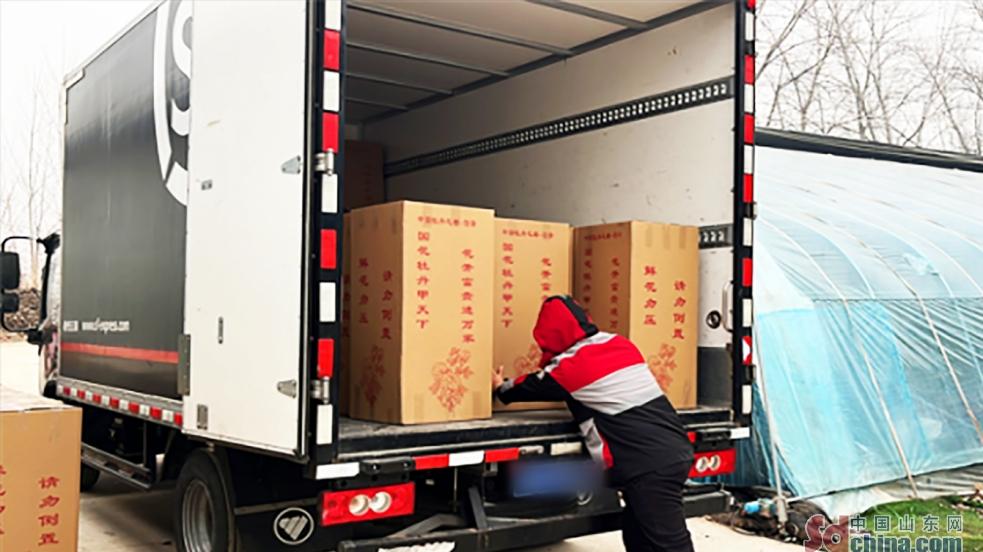 回眸2024，从繁花盛景中看菏泽牡丹的崛起与突破