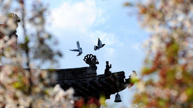 万荣：暖阳映古楼 秋风楼的春色藏不住