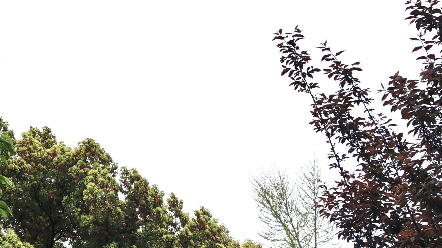 人在职场：规则破坏者，怎么破？