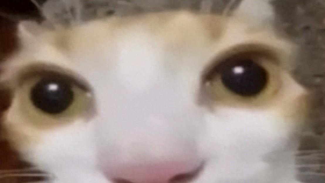 9系旗舰“回血”速度排行！“GOAT”竟是Ta！