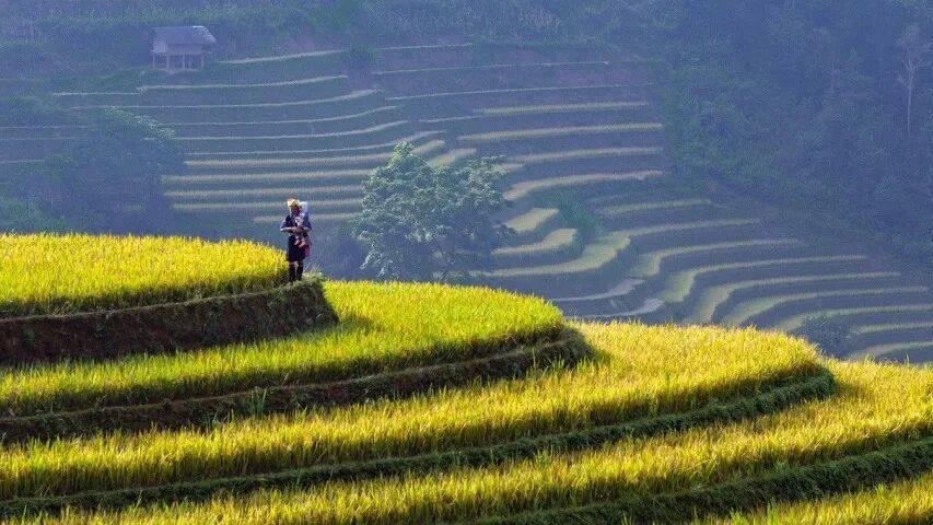 品牌力之外，产品力正成为一些家电企业的“杀手锏”