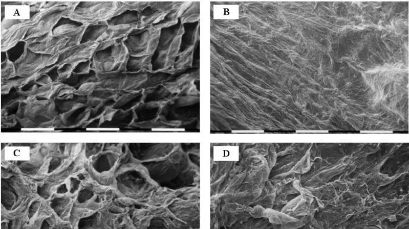 材料表征必修课：四大核心技术（SEM、TEM、XPS、XRD）原理与实操
