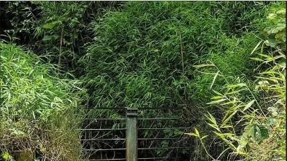 躲藏在潮田的全國休閑渔業示範點